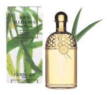 Aqua Allegoria Herba Fresca �� Guerlain - ��������� ���� ��� ������