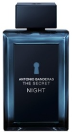 The Secret Night  Antonio Banderas -    