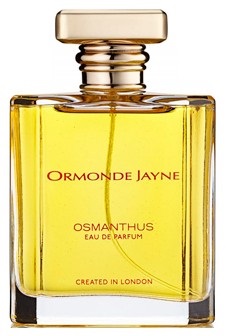 Osmanthus  Ormonde Jayne -    